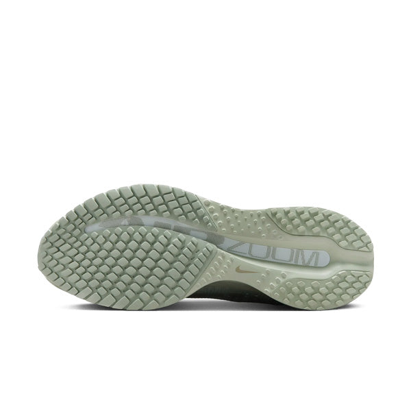 HOMBRE NIKE PEGASUS PREMIUM