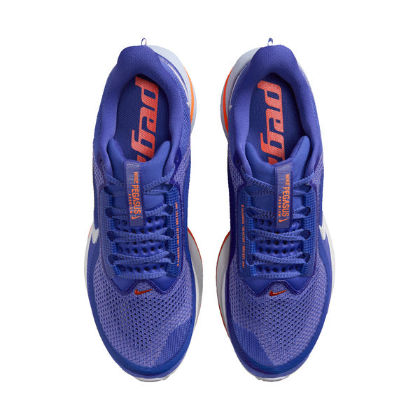 HOMBRE NIKE PEGASUS PREMIUM