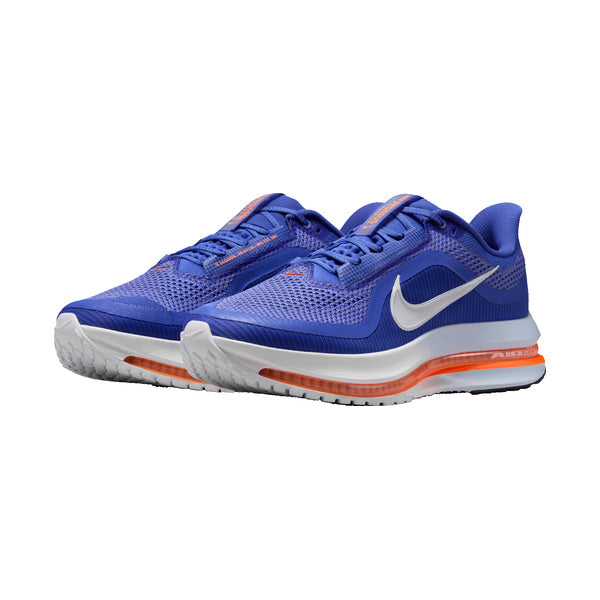 HOMBRE NIKE PEGASUS PREMIUM